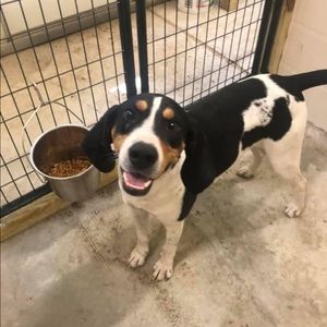 Meet your Posher, Reagan